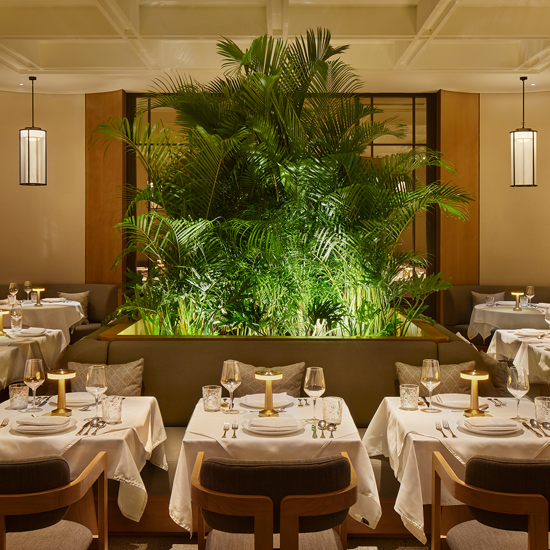 Hotel Tentrem Jakarta Dining